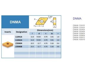 DNMA
